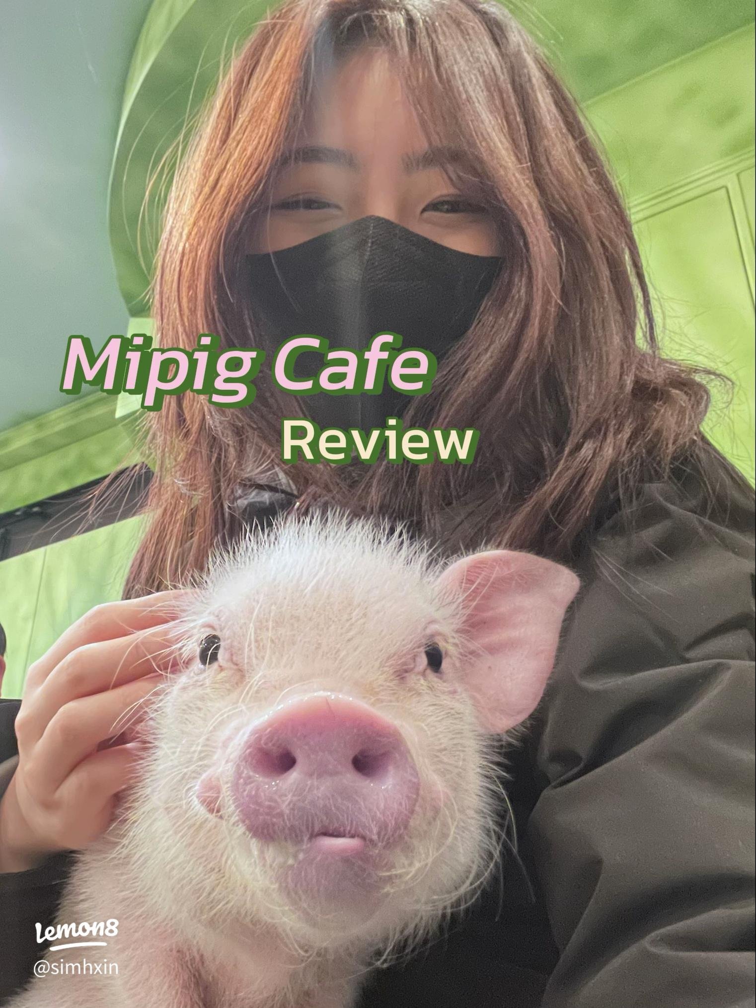🐷 마이피그 카페 교토점 (mipig cafe Kyoto) 이미지 8